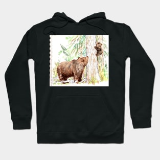 Grizzly Bear mom and cub sketchbook version Hoodie